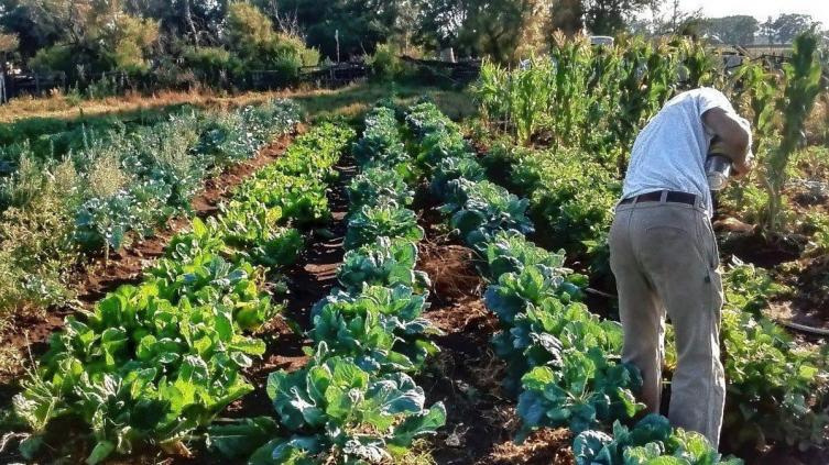 El Concejo aprobó una ordenanza de promoción de la agroecología