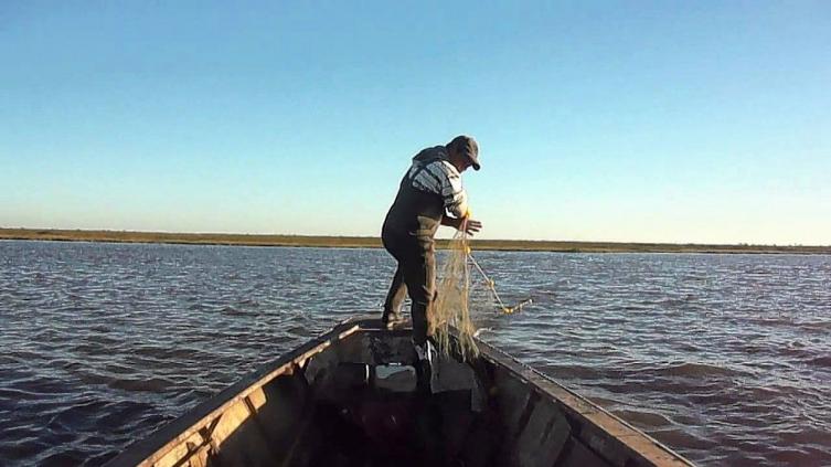 Desde el 1 de noviembre rige la veda de pesca del surubí