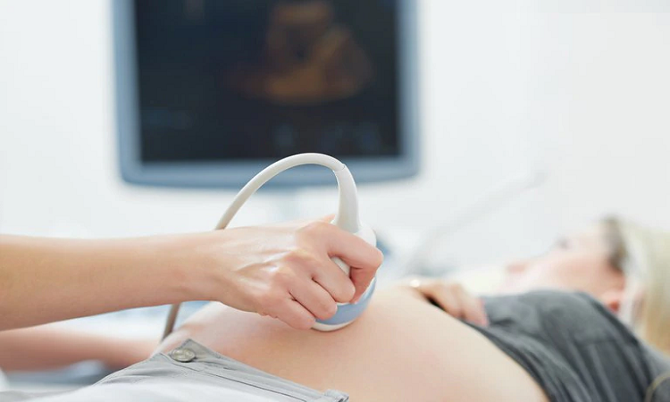 Pandemias: estudio midió por primera vez el impacto en la mortalidad materna
