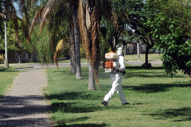 Trabajos de fumigación, iluminación y bacheo para este lunes