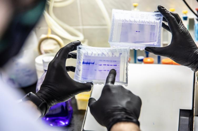  La UNL avanzan en el desarrollo de una vacuna contra el COVID-19