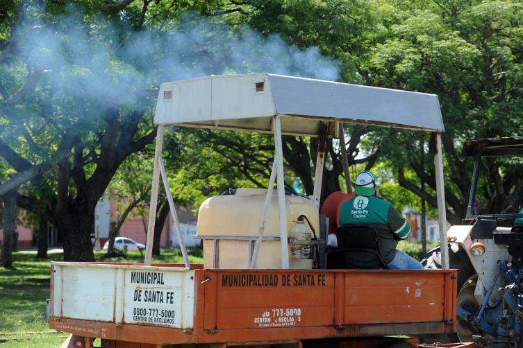 Trabajos de fumigación, iluminación y bacheo en la ciudad