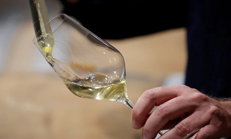 Vinos para lucirse en estas fiestas