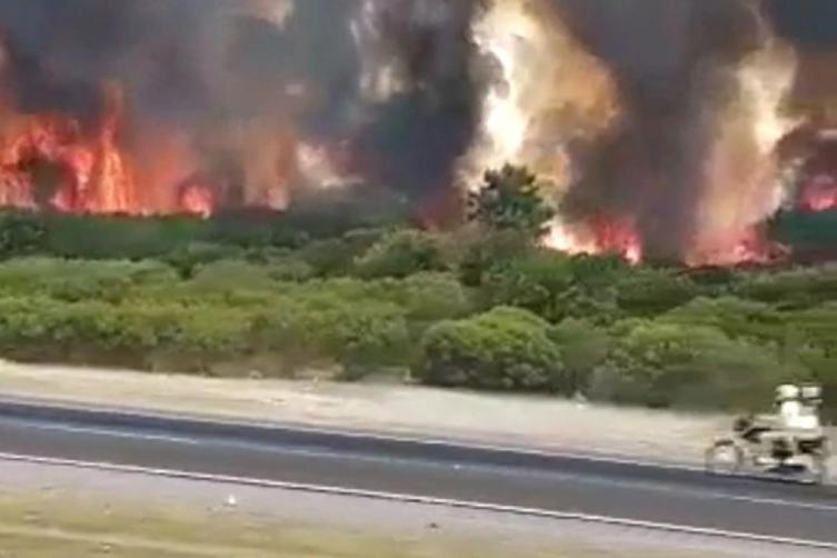 Uruguay: un incendio forestal de grandes proporciones avanza al sur del país