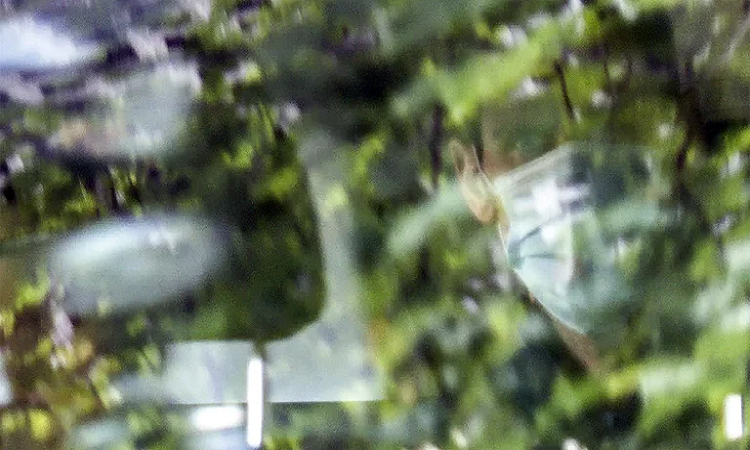Djokovic ganó el juicio contra su deportación de Australia