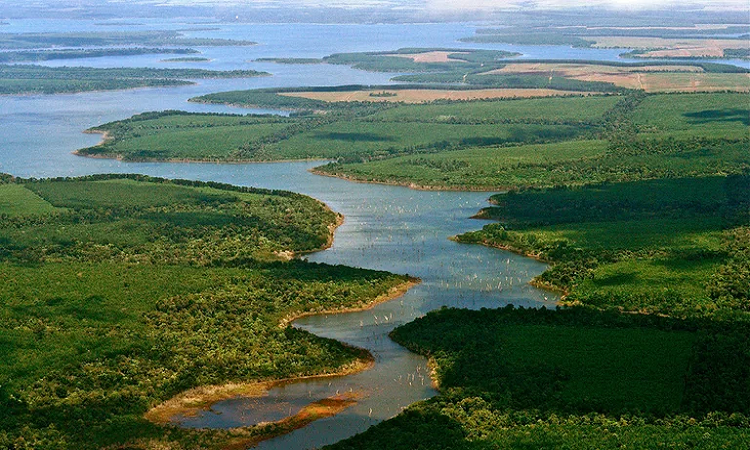The New York Times para 2022: Los Esteros del Iberá son recomendados
