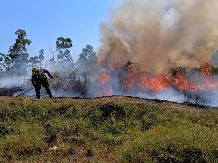 Incendios en Corrientes: “Hay muchas clases de daños que sufrimos producto del fuego”