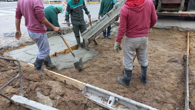 Trabajos de fumigación, iluminación y bacheo este viernes
