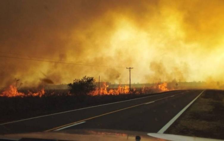 Corrientes declaró el estado de Emergencia Agropecuaria