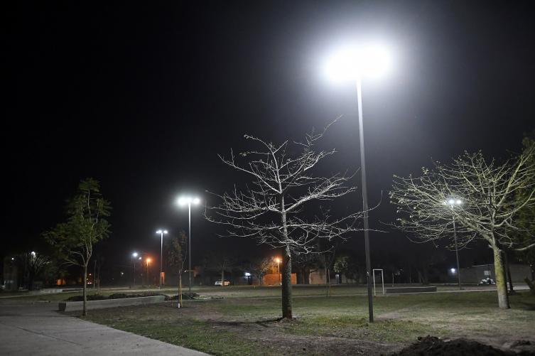 Trabajos de fumigación, iluminación y bacheo previstos para este lunes