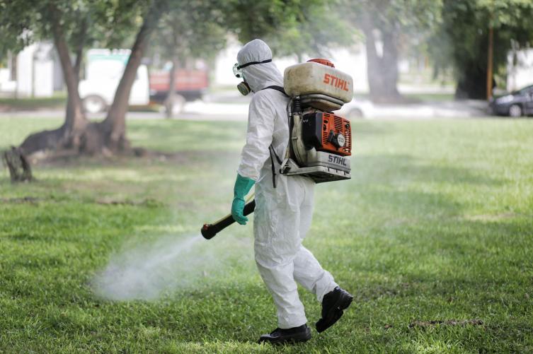 Trabajos de fumigación, iluminación y bacheo previstos para este lunes