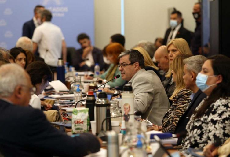 FMI: cómo quedó el proyecto unificado que acordaron el Gobierno y la oposición