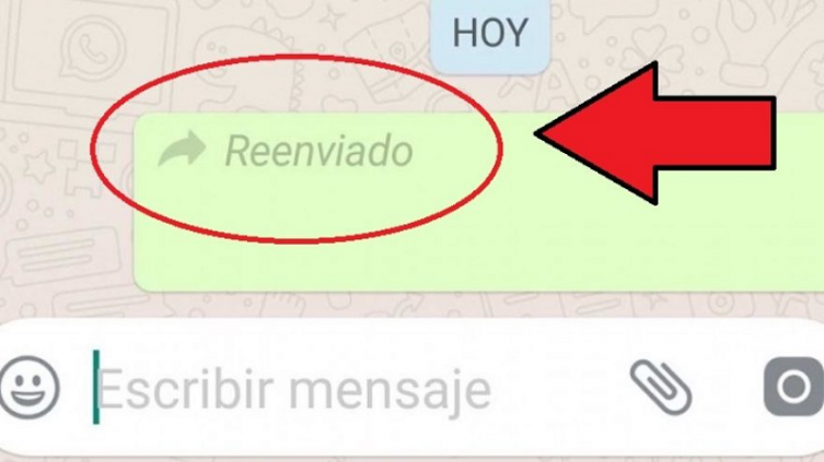 WhatsApp: así envias un mensaje sin que aparezca “reenviado”