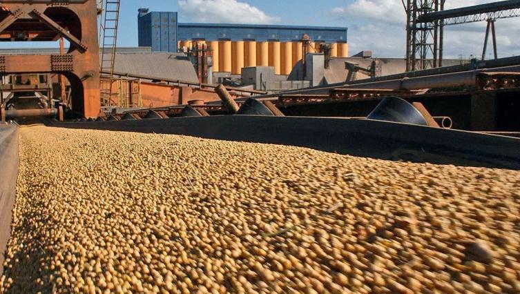 Cierran registro de exportación de aceite y harina de soja