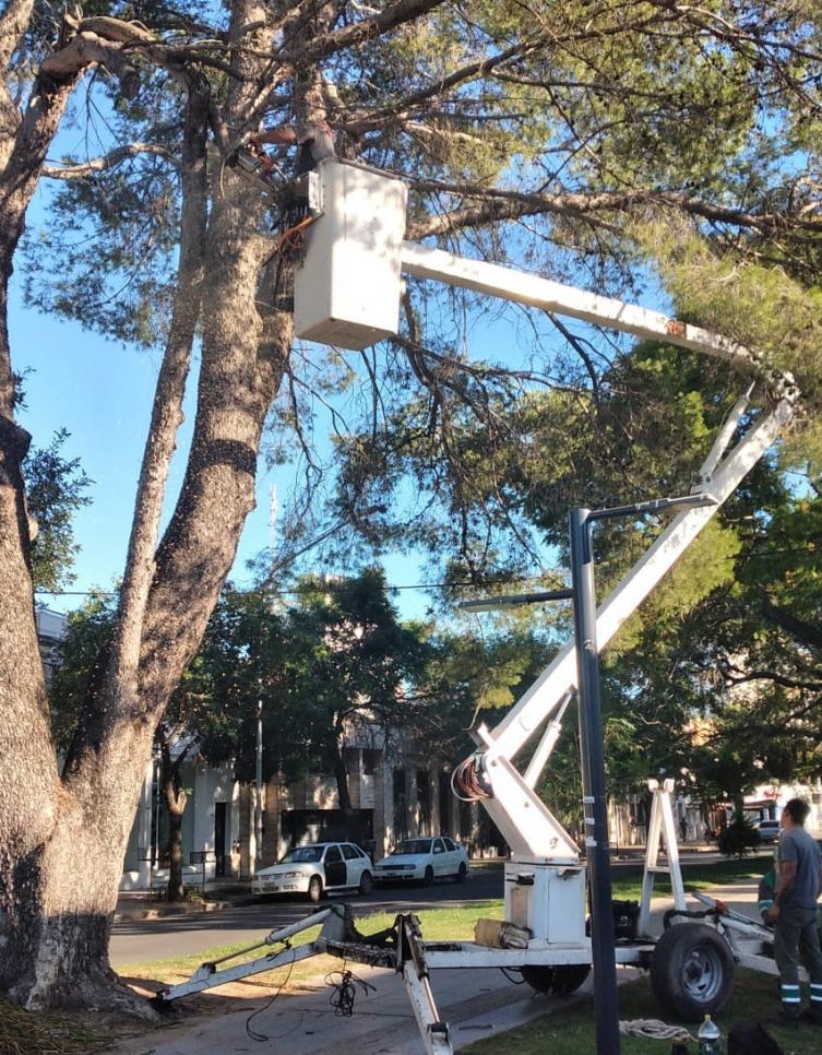 Trabajos de fumigación, iluminación y bacheo previstos para este jueves