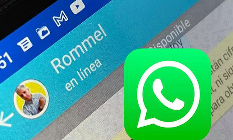 WhatsApp ensaya ocultar la última hora de conexión a contactos seleccionados en iOS