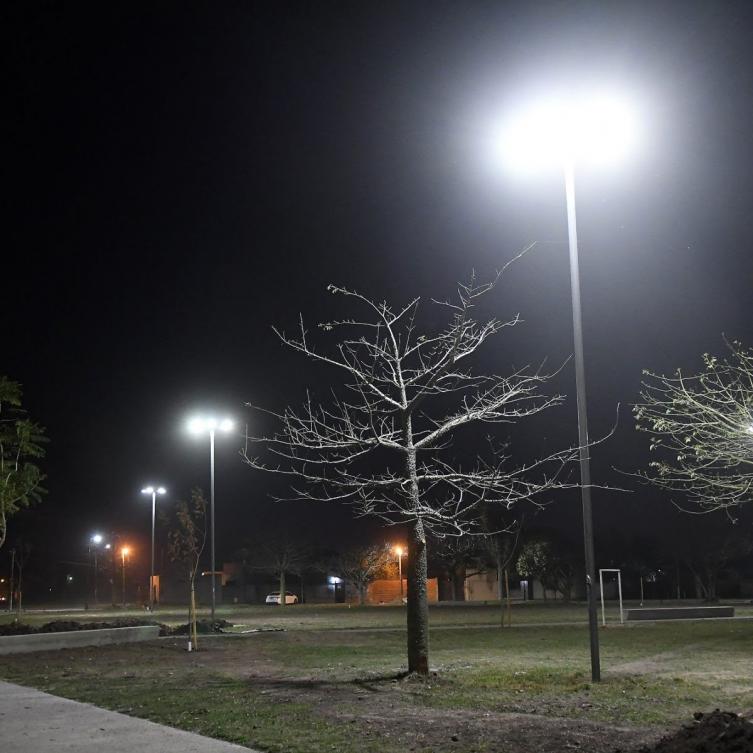 Trabajos de iluminación, arbolado y bacheo para este viernes
