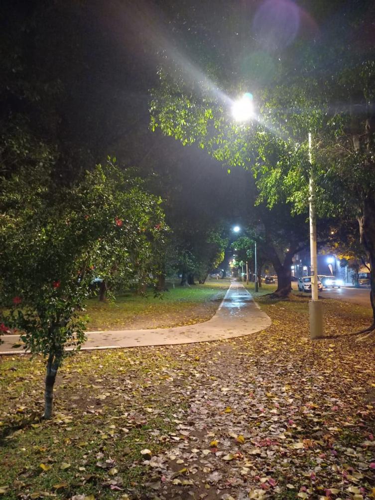 Trabajos de iluminación, arbolado y bacheo previstos para este martes