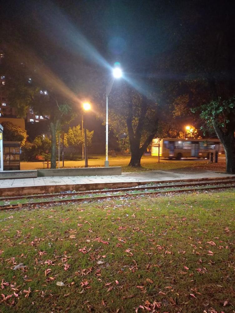 Trabajos de iluminación, arbolado y bacheo previstos para este lunes