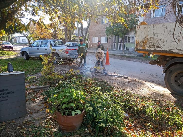 Trabajos de iluminación, arbolado y bacheo previstos para este martes