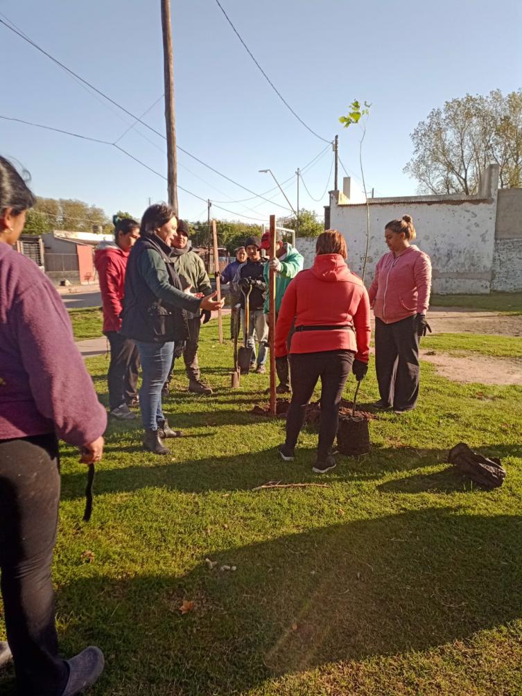 Trabajos de iluminación, arbolado y bacheo previstos para este lunes