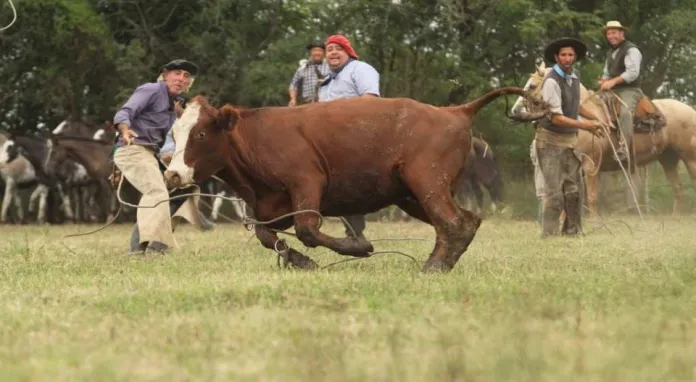 46° Fiesta Provincial de la Yerra en Cayastá