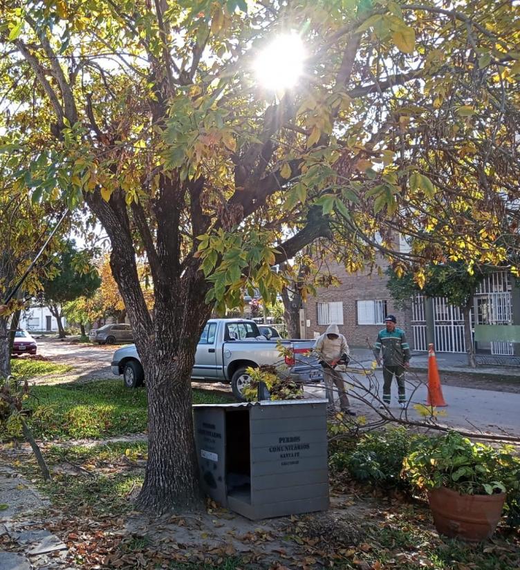 Trabajos de bacheo, iluminación y arbolado previstos para este jueves