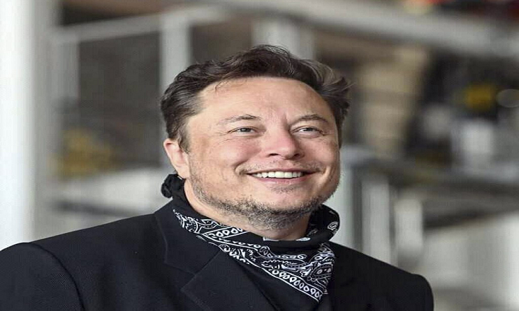 Twitter: Elon Musk rescinde el acuerdo de compra por US$44 mil millones