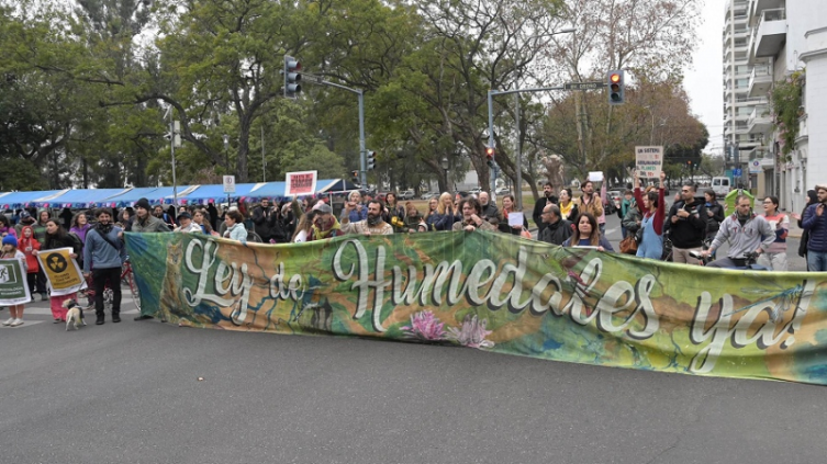 El Congreso no avanza en sancionar la Ley de Humedales