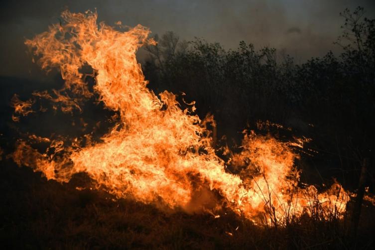 Un nuevo detenido por el fuego en las islas