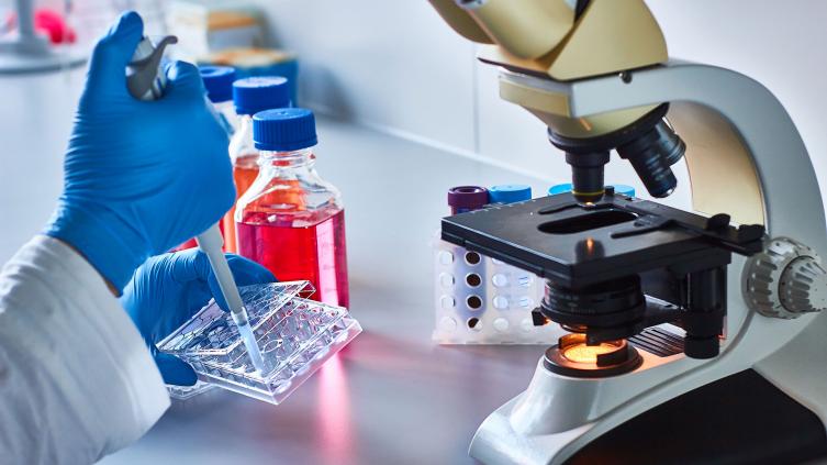 Qué se sabe sobre 7 virus que pueden causar diversos tipos de cáncer
