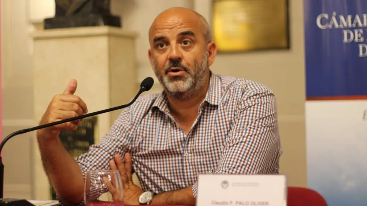 Palo Oliver solicita que la Cámara de Diputadas se exprese al respecto