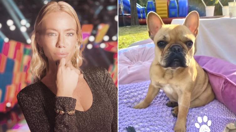Nicole Neumann denunció que le robaron una perrita: “Devuelvan a nuestra Shiva”