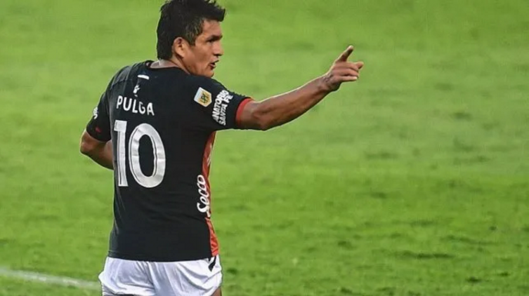 Pulga presentó 