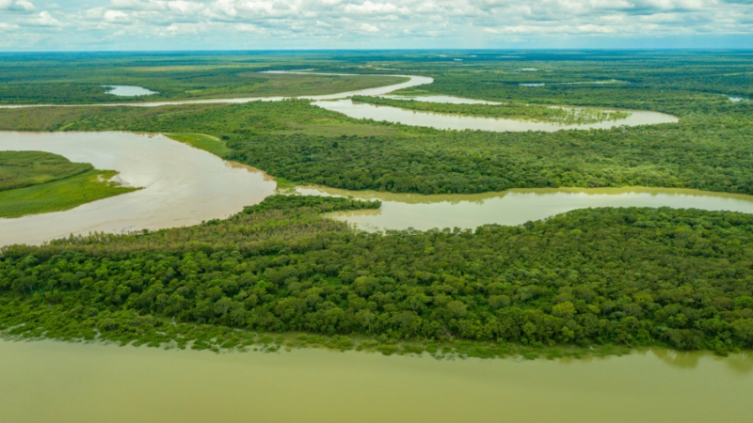 Parque Nacional El Impenetrable: Especies en peligro vuelven a habitar en libertad