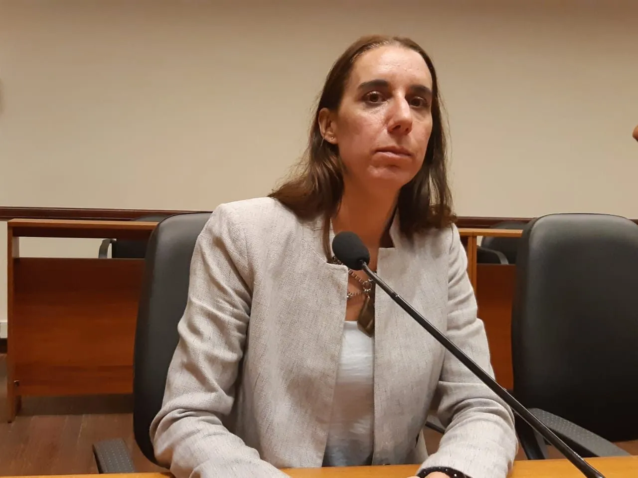 La Legislatura vuelve a citar a la fiscal Ferraro 