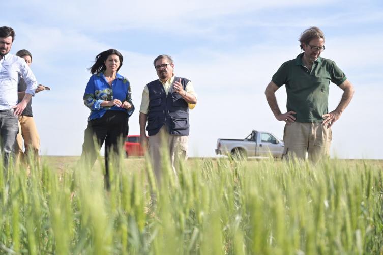Clara García pidió la Emergencia Agropecuaria frente a la sequía que pone en riesgo la cosecha