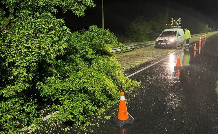 Voladura de techos, árboles caídos y cables cortados por el temporal en Córdoba