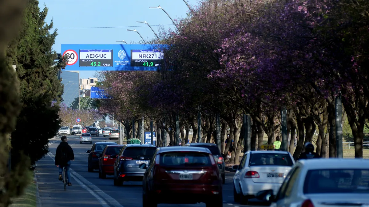 Proponen premiar a los buenos conductores con descuentos