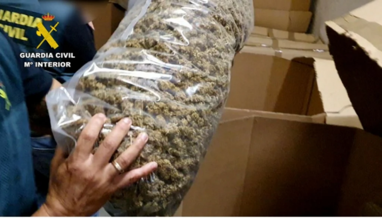 España tuvo el mayor decomiso de marihuana de la historia