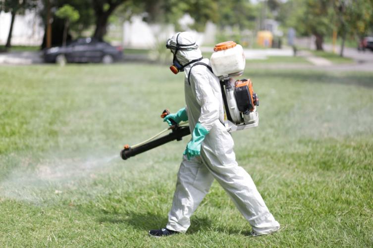 Trabajos de fumigación, iluminación y bacheo previstos para este jueves