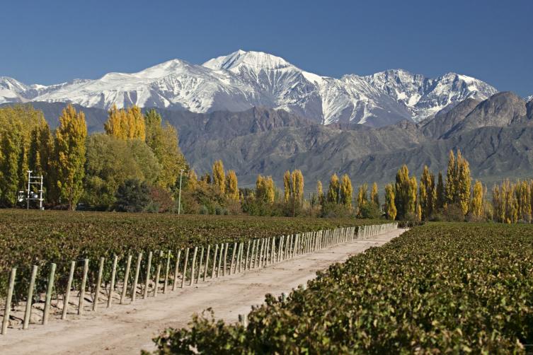 Mendoza y Tucumán con ocupación del 80% durante el fin de semana largo