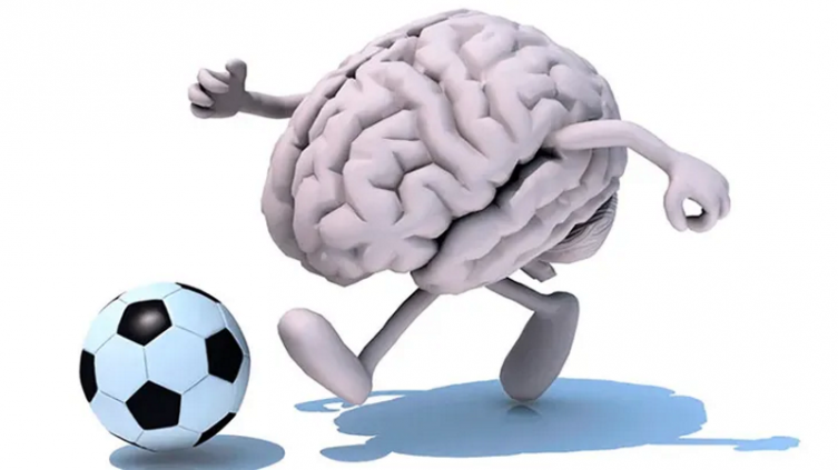 ¿Cómo impacta en nuestro cerebro un partido de fútbol?