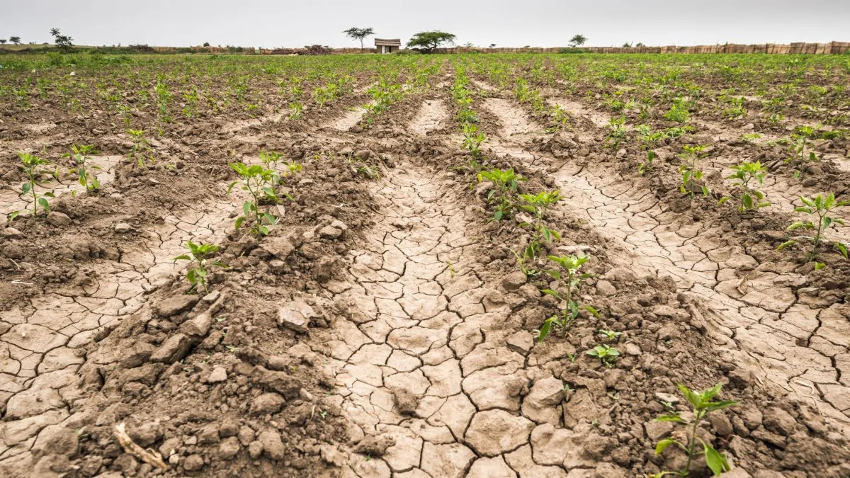 Nación homologó la Emergencia Agropecuaria para Santa Fe