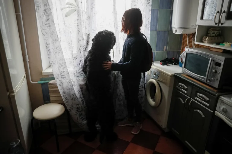 Nuestro cuerpo, nuestros gestos y el idioma de los perros