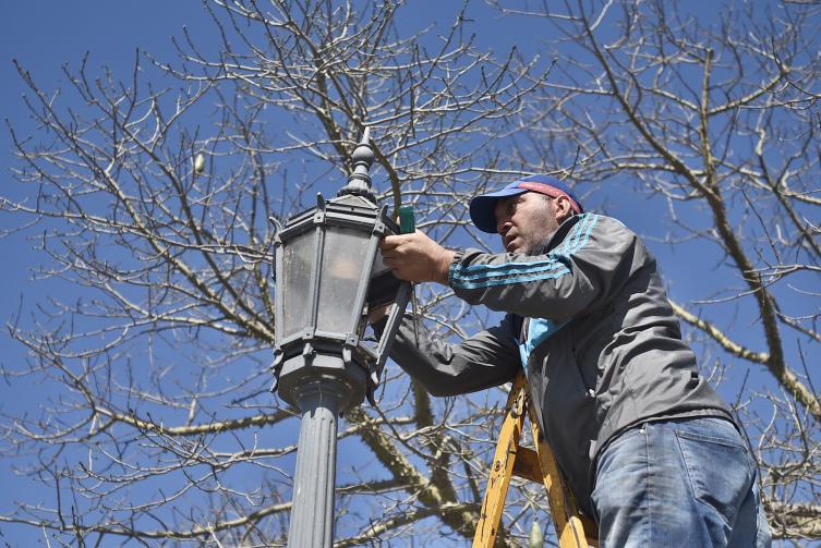 Trabajos de fumigación, iluminación y bacheo previstos para este jueves