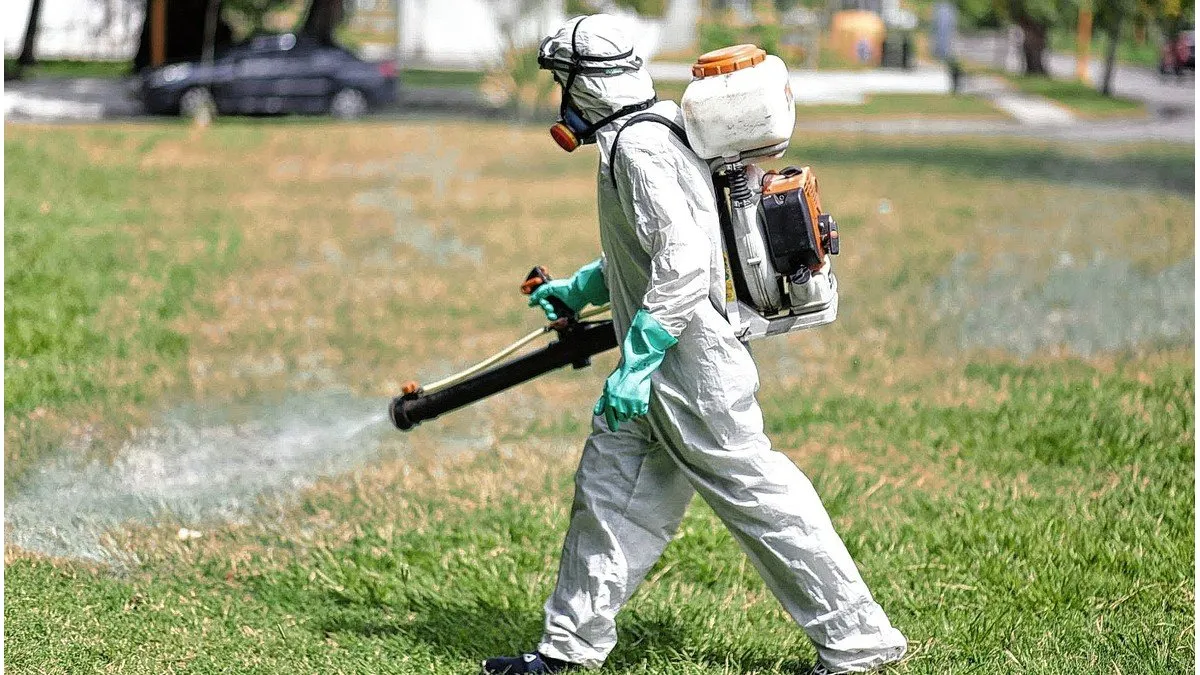 Trabajos de fumigación, iluminación y bacheo previstos para este lunes