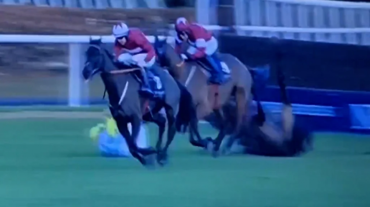 Murieron dos caballos tras una accidentada carrera