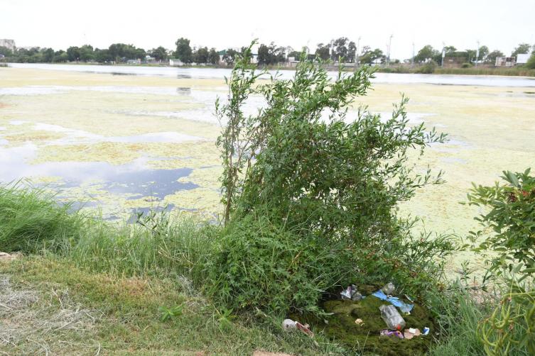 Jornada de limpieza en el lago del Parque del Sur