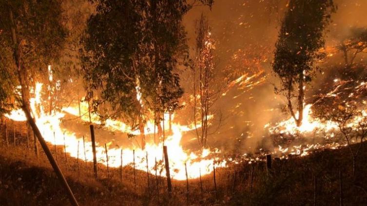 Ya son trece las víctimas fatales por los incendios forestales en Chile